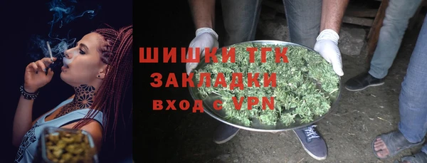 СК Дмитров