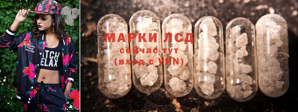 СК Дмитров