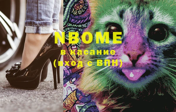 СК Дмитров